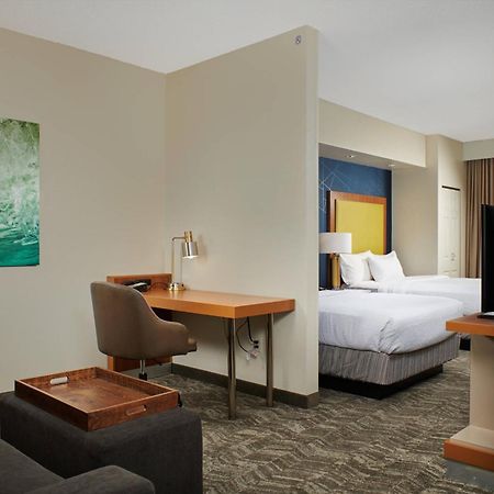 Springhill Suites By Marriott Baton Rouge North / Airport Экстерьер фото